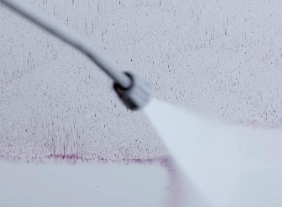 Pure:est W1 | Flygrostborttagare